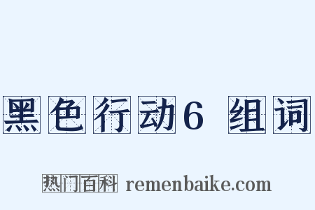 黑色行动6组词是什么意思的图片